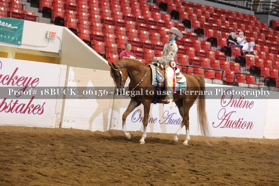 Proof 18BUCK_06156