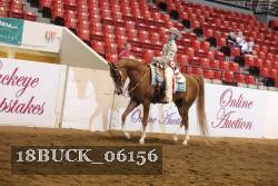 18BUCK_06156 proof