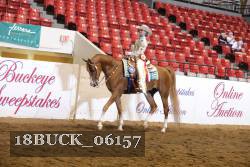 18BUCK_06157 proof