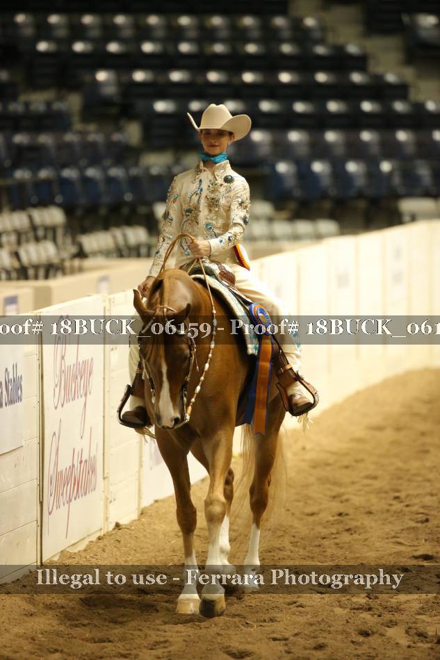 Proof 18BUCK_06159