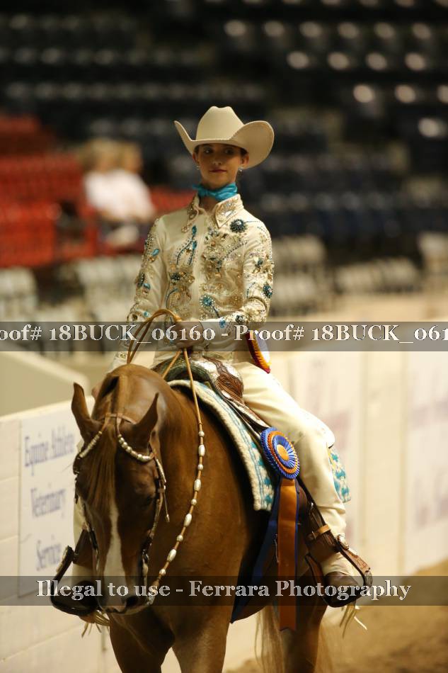 Proof 18BUCK_06160