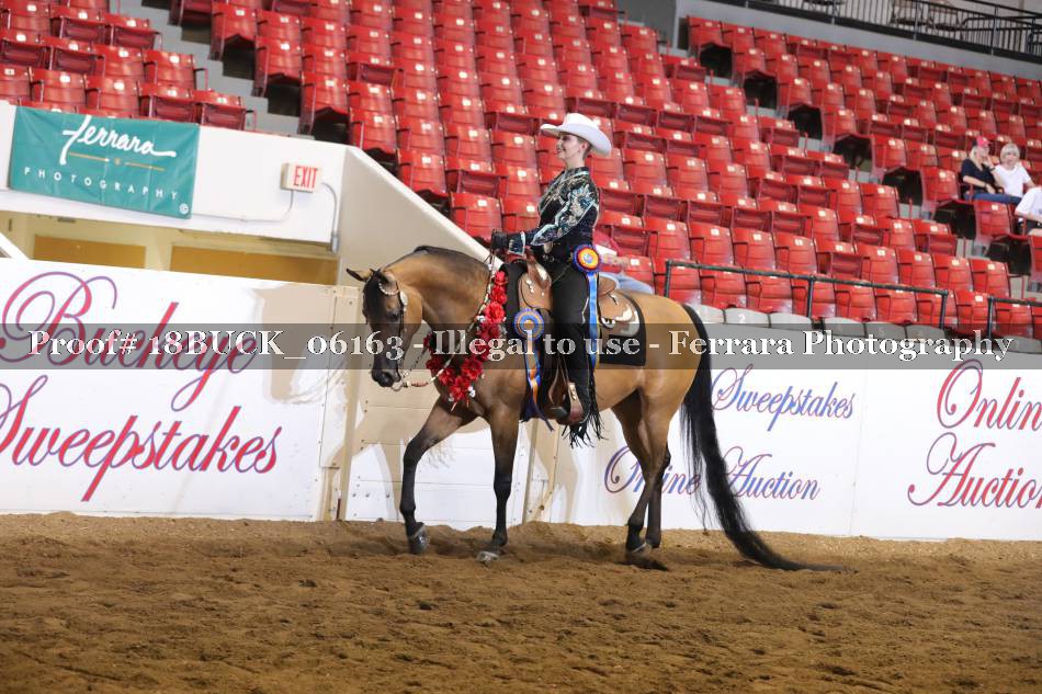 Proof 18BUCK_06163