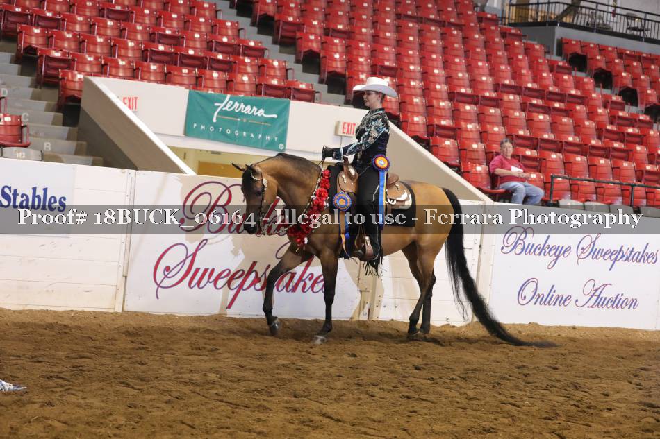 Proof 18BUCK_06164