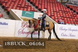 18BUCK_06164 proof