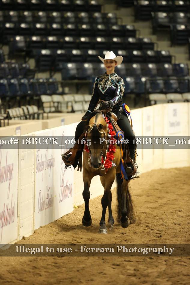 Proof 18BUCK_06165