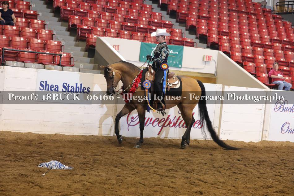 Proof 18BUCK_06166