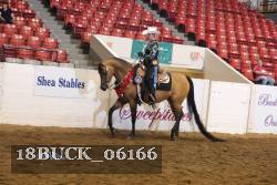 18BUCK_06166 proof
