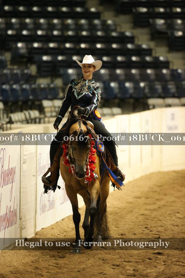 Proof 18BUCK_06167