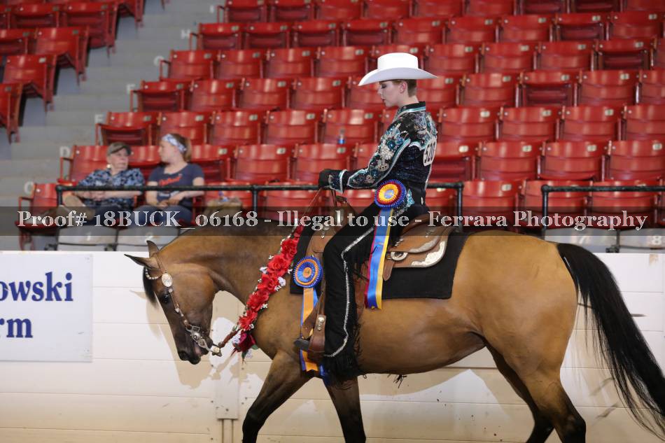 Proof 18BUCK_06168