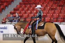 18BUCK_06168 proof