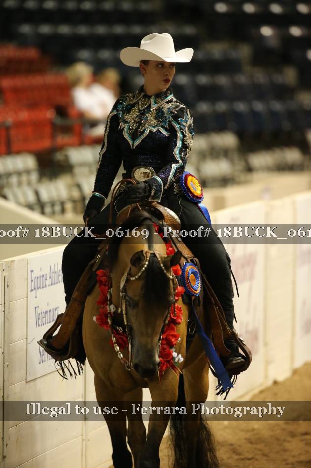 Proof 18BUCK_06169