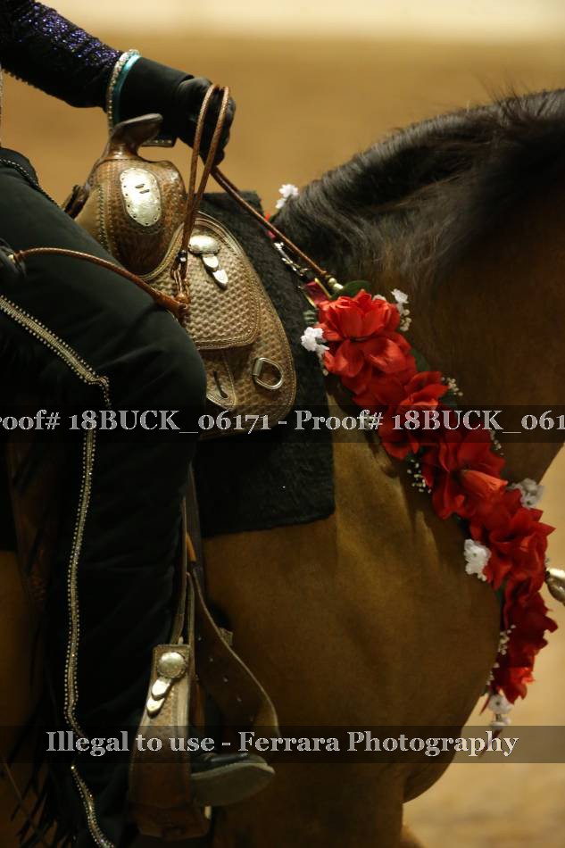 Proof 18BUCK_06171