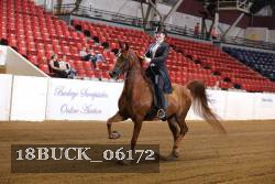 18BUCK_06172 proof