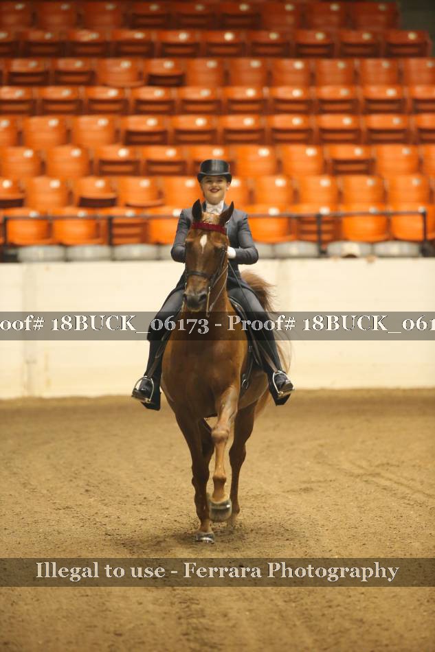 Proof 18BUCK_06173