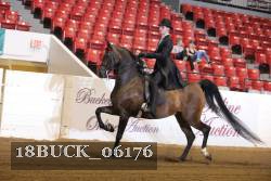 18BUCK_06176 proof