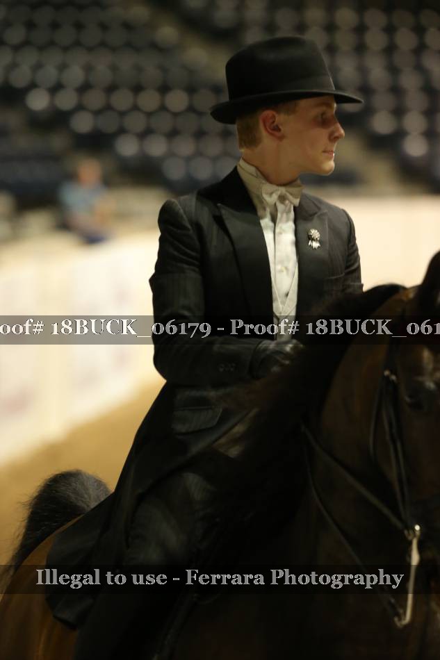 Proof 18BUCK_06179