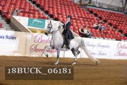 18BUCK_06181 proof