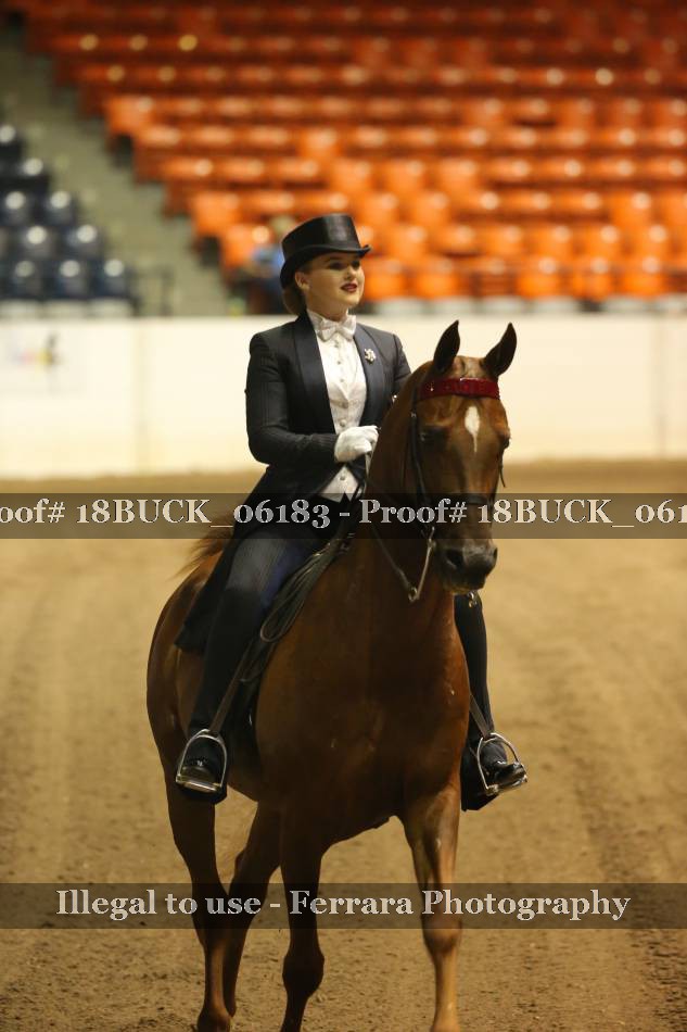 Proof 18BUCK_06183