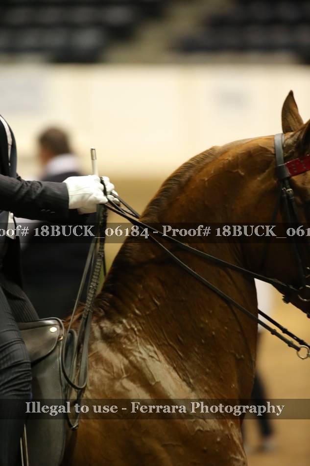 Proof 18BUCK_06184