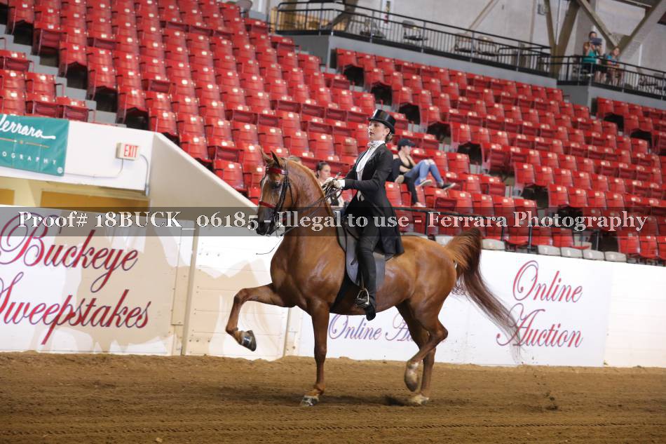 Proof 18BUCK_06185
