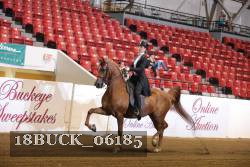 18BUCK_06185 proof