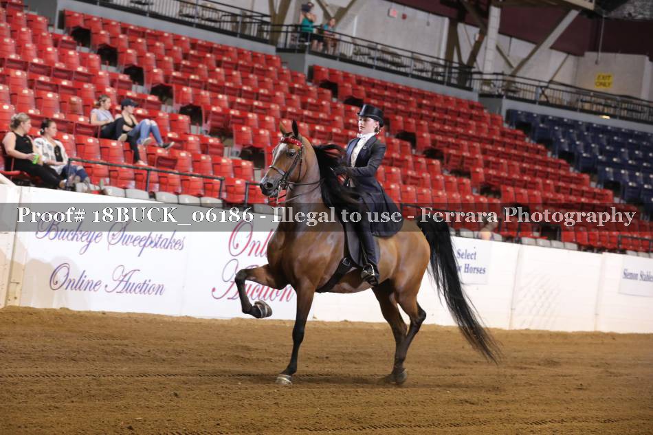 Proof 18BUCK_06186