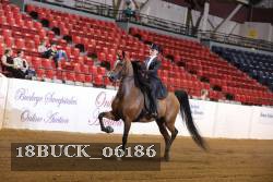18BUCK_06186 proof