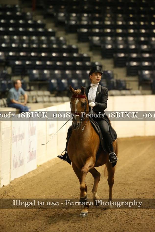 Proof 18BUCK_06187