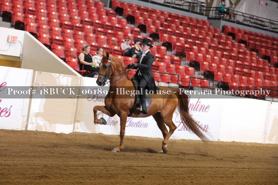 Proof 18BUCK_06189
