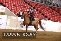 18BUCK_06189 proof