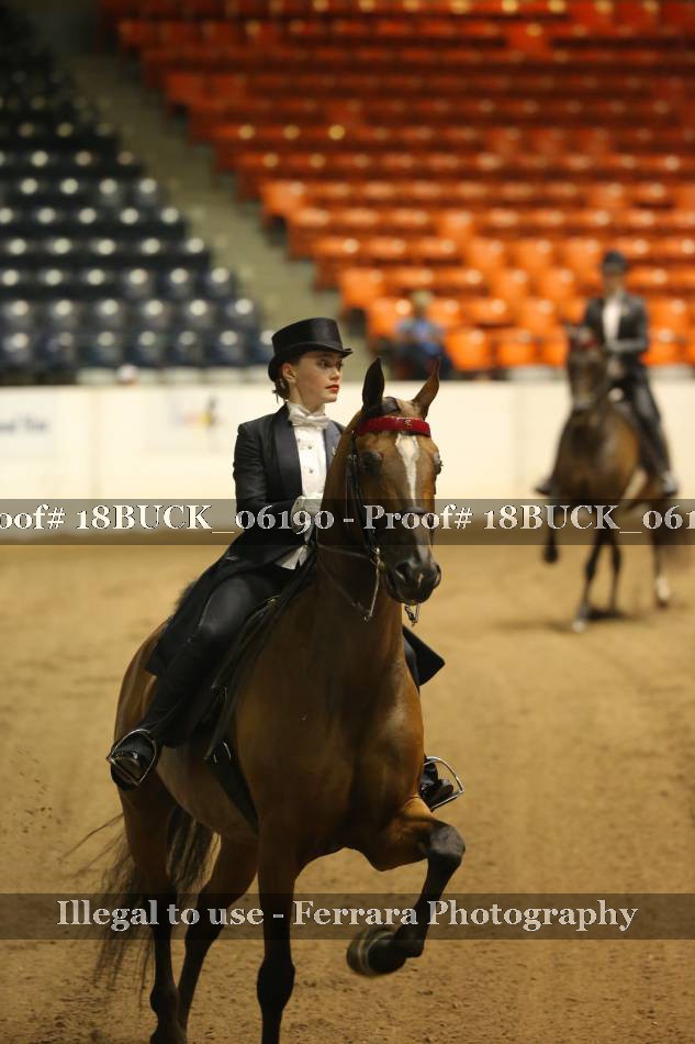 Proof 18BUCK_06190