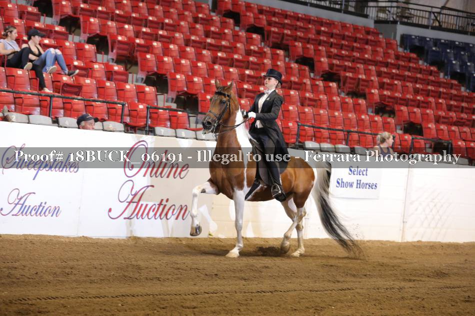 Proof 18BUCK_06191