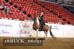 18BUCK_06191 proof