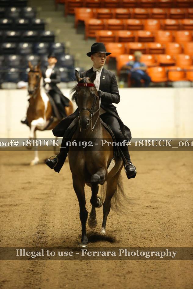 Proof 18BUCK_06192