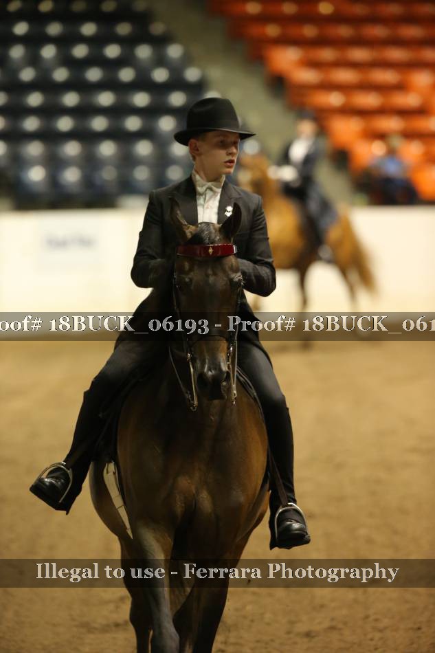 Proof 18BUCK_06193
