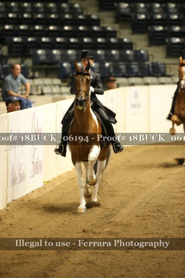 Proof 18BUCK_06194