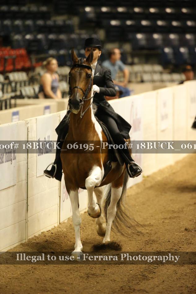 Proof 18BUCK_06195