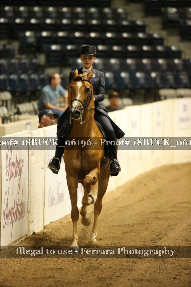 Proof 18BUCK_06196