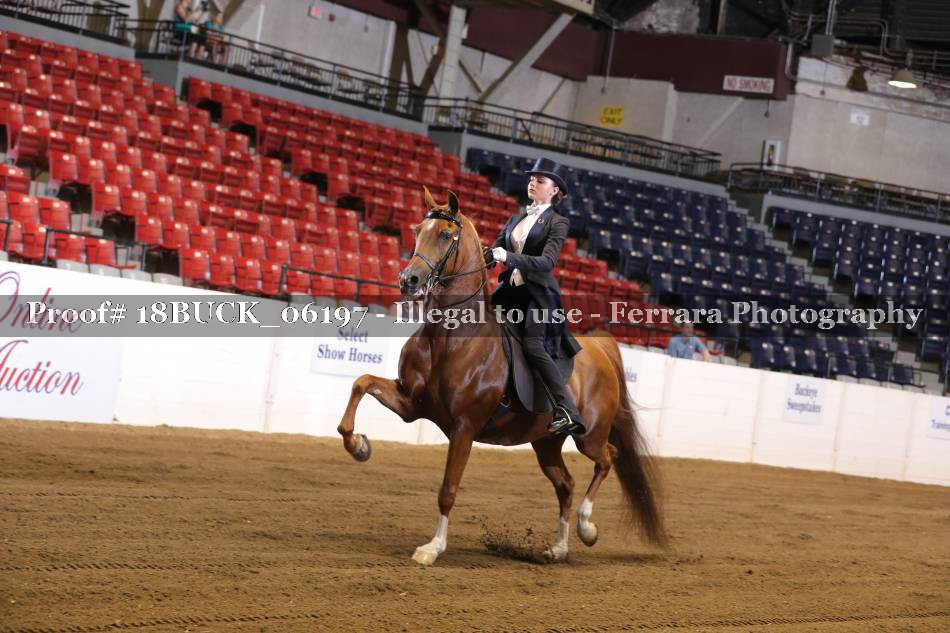 Proof 18BUCK_06197