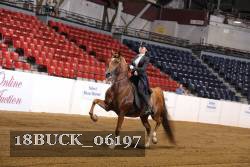 18BUCK_06197 proof
