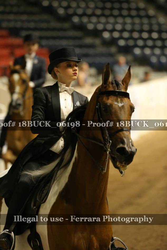 Proof 18BUCK_06198