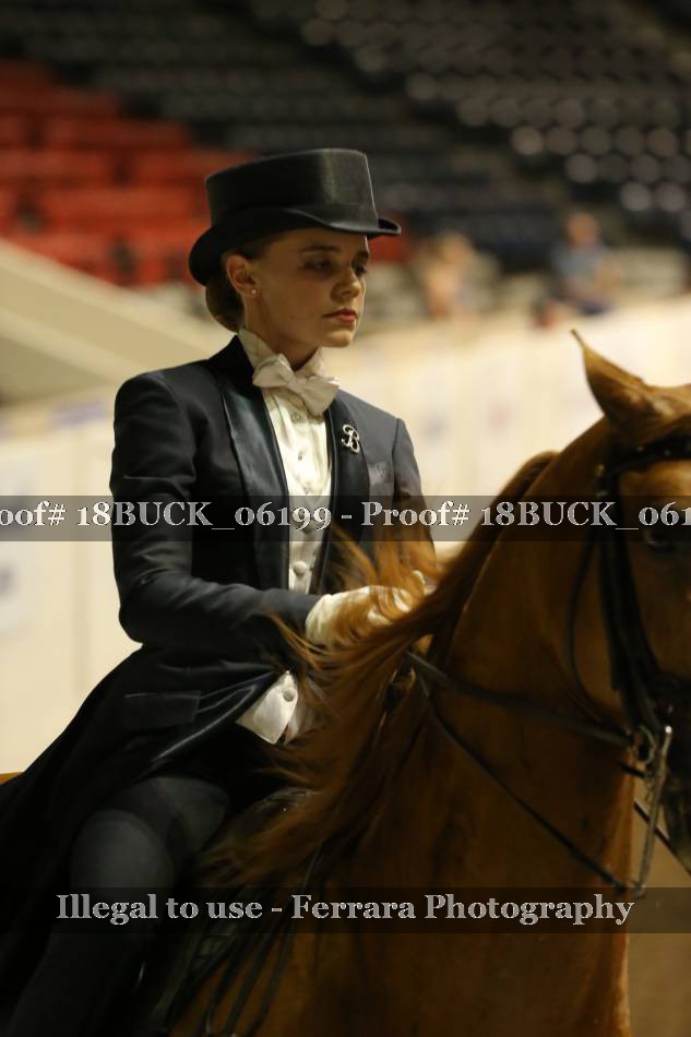 Proof 18BUCK_06199