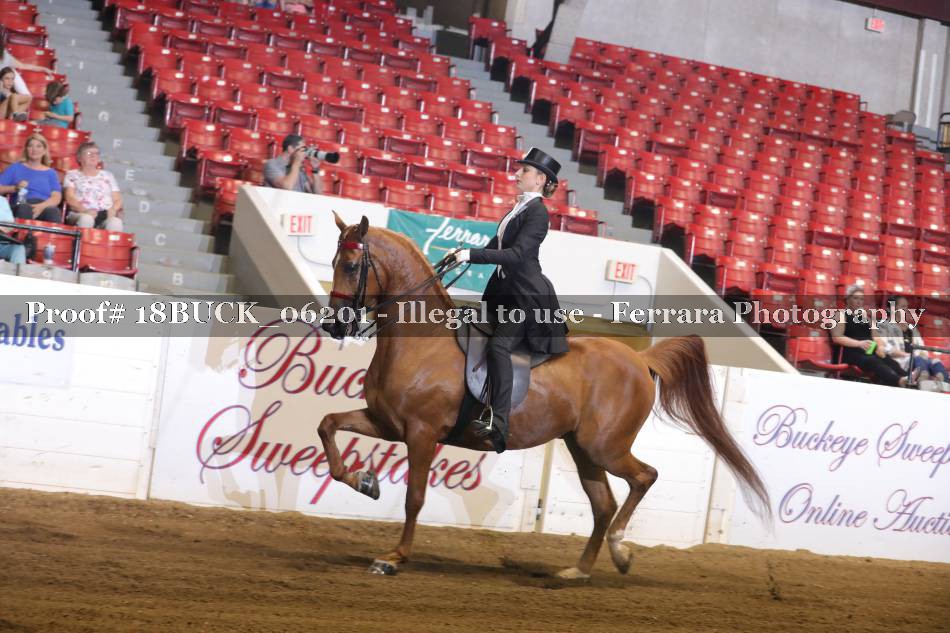 Proof 18BUCK_06201