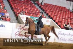 18BUCK_06201 proof