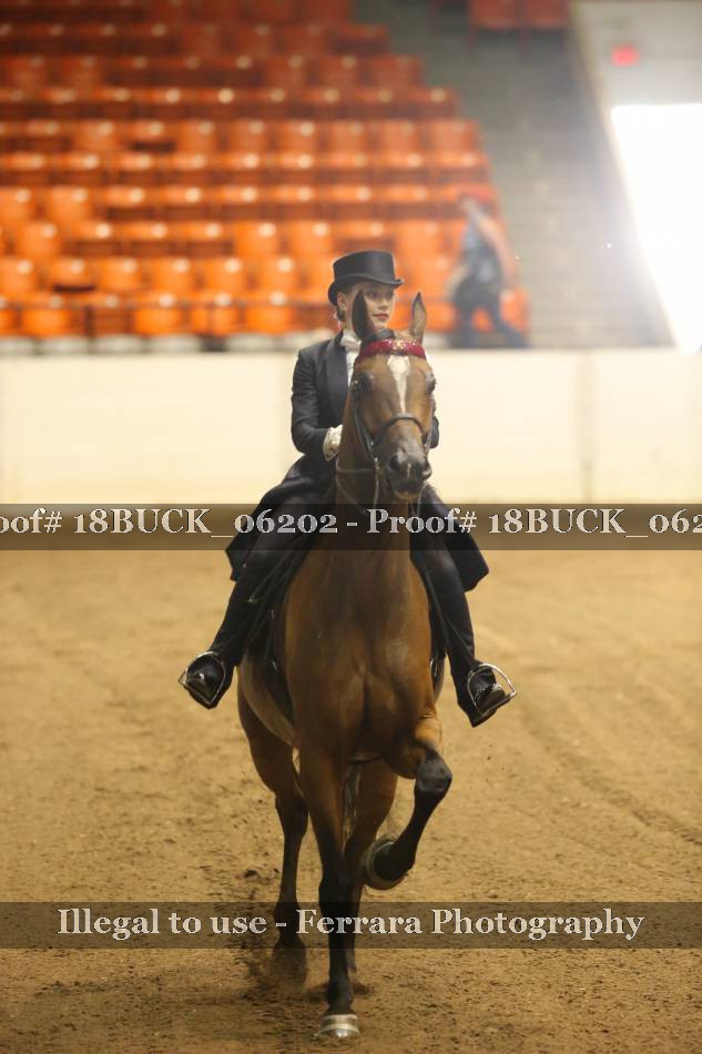 Proof 18BUCK_06202