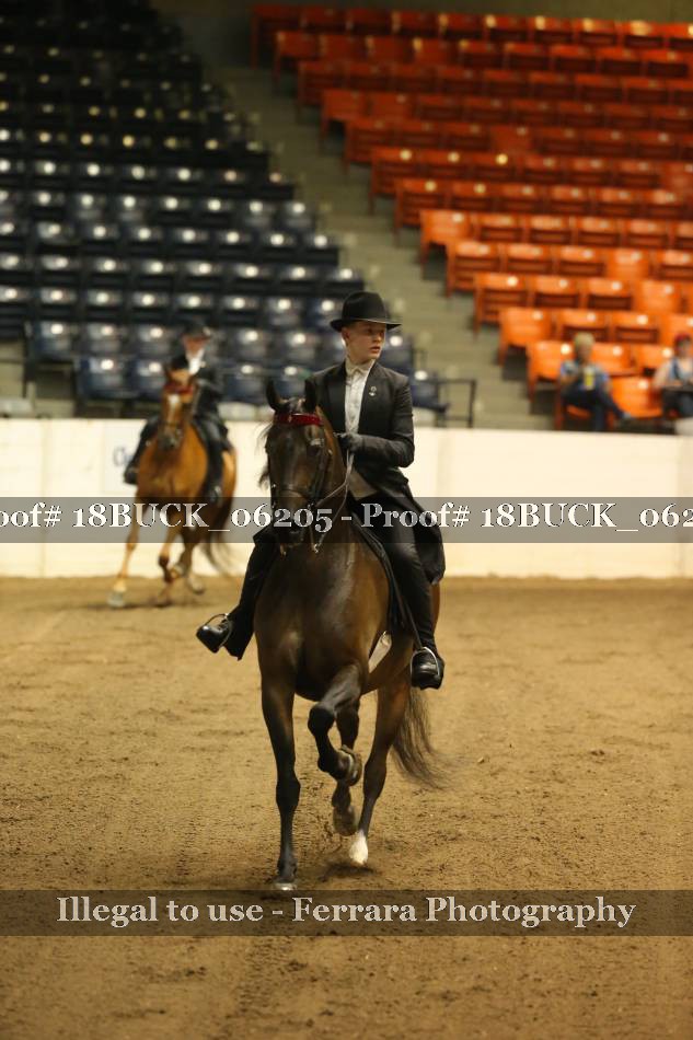 Proof 18BUCK_06205