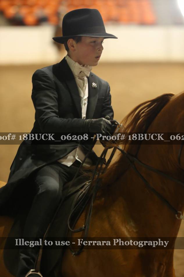 Proof 18BUCK_06208