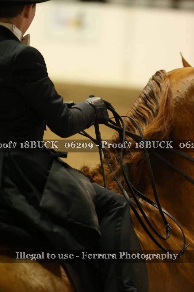 Proof 18BUCK_06209