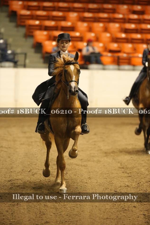 Proof 18BUCK_06210