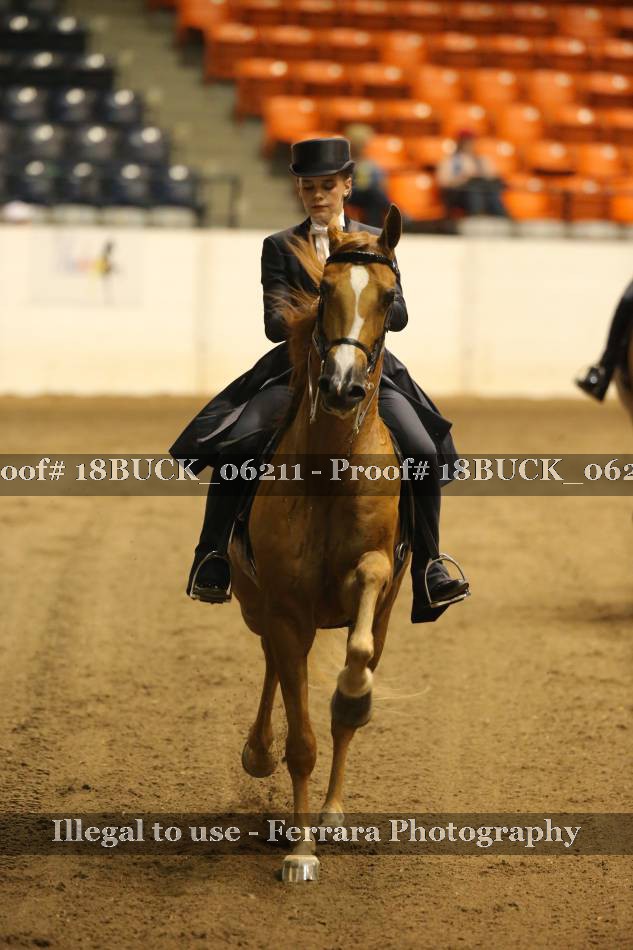 Proof 18BUCK_06211